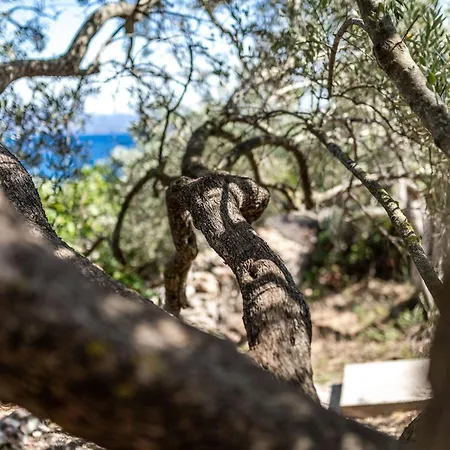 Olive's Garden House - Three Bedroom With Terrace And Sea View * Vela Luka